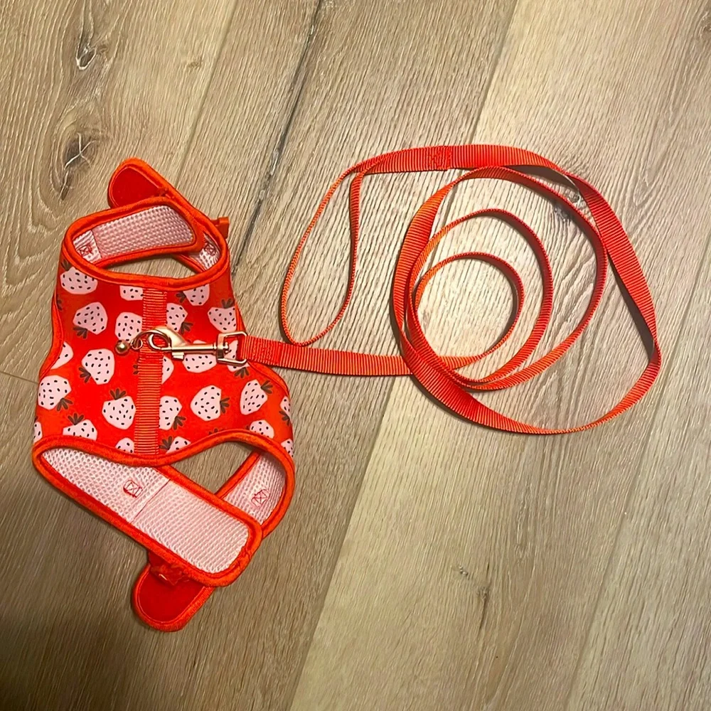 Strawberry cat harness